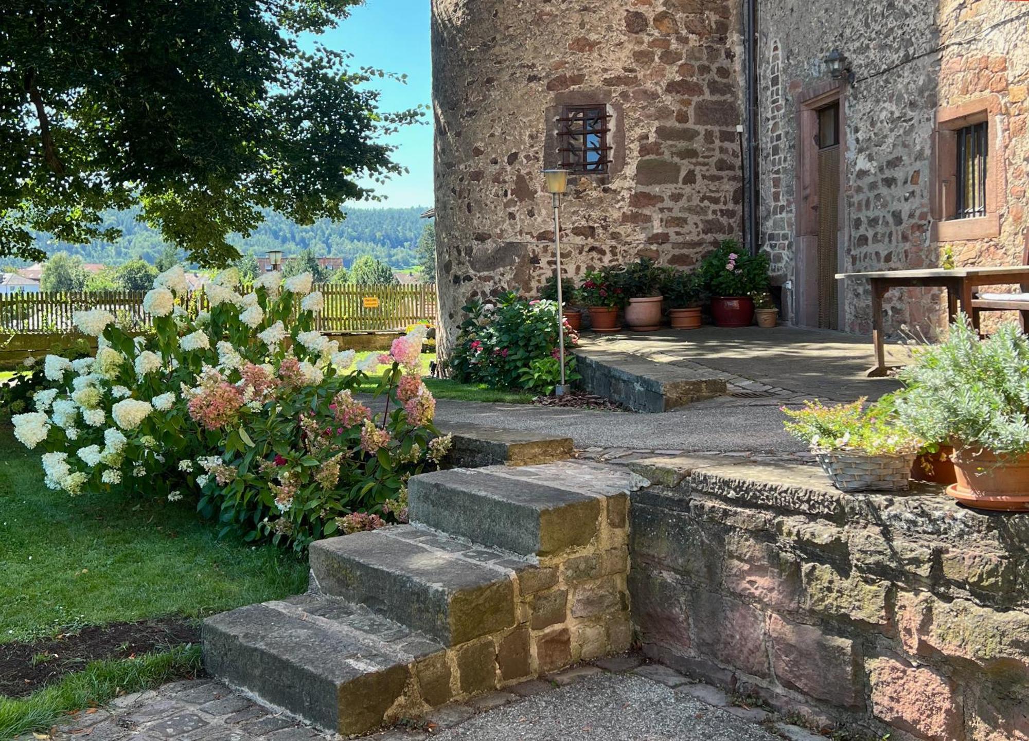 Graefin Amalia - Elegantes Apartment In Der Historischen Hinterburg In Schlitz, 2 Schlafzimmer, Mit Garten, Nahe Fulda Und Bad Hersfeld Esterno foto