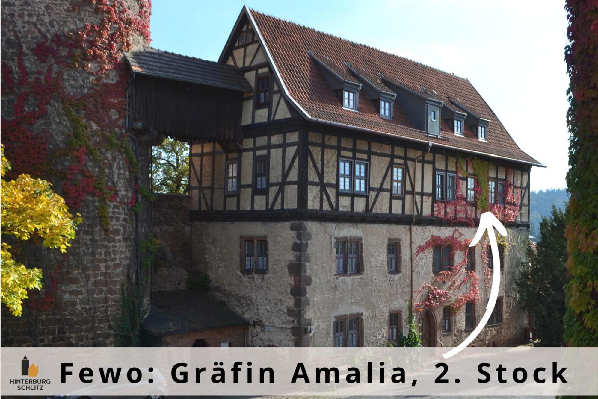 Graefin Amalia - Elegantes Apartment In Der Historischen Hinterburg In Schlitz, 2 Schlafzimmer, Mit Garten, Nahe Fulda Und Bad Hersfeld Esterno foto