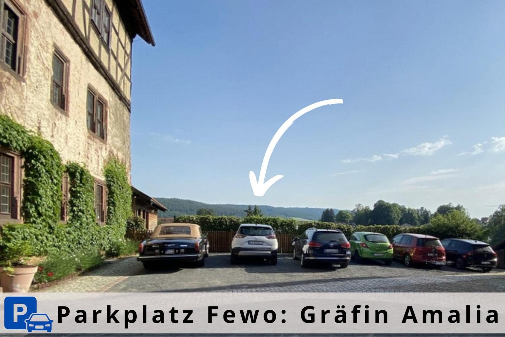 Graefin Amalia - Elegantes Apartment In Der Historischen Hinterburg In Schlitz, 2 Schlafzimmer, Mit Garten, Nahe Fulda Und Bad Hersfeld Esterno foto